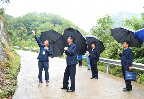 2025新澳门原料网