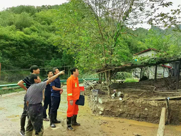 2025新澳门原料网